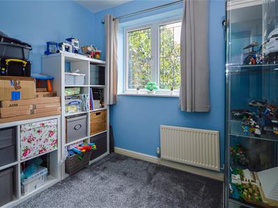 Picture 11